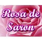 Rosa de Saron a Loja da Mulher Evangelica