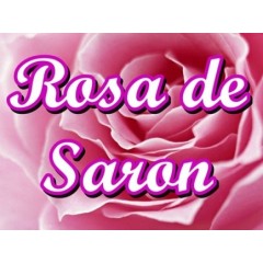 Rosa de Saron a Loja da Mulher Evangelica