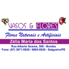 Vasos & Flores