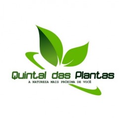 QUINTAL DAS PLANTAS