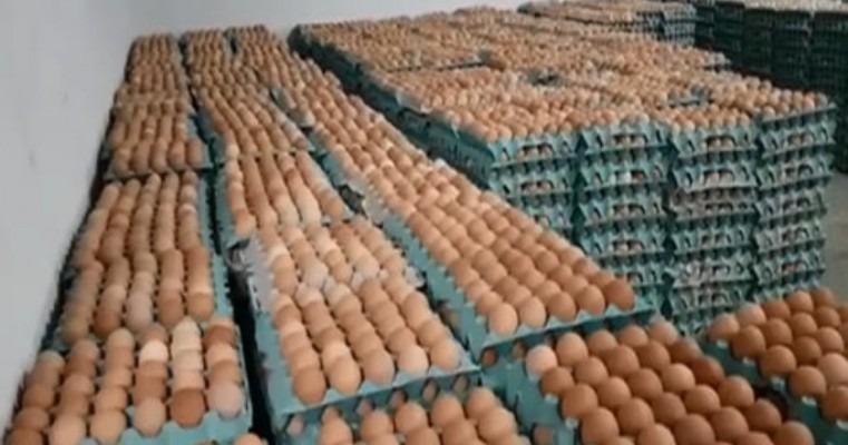Produtores do DF jogam fora meio milhão de ovos durante greve dos caminhoneiros