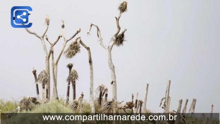 Água esta acabando - O clima está seco: secas por todo mundo 