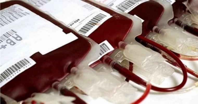 Campanha Nacional de Doação de Sangue já começou em todo o país; é o Junho Vermelho