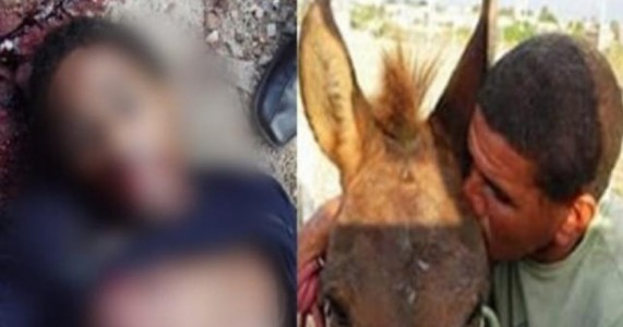 TRIÂNGULO AMOROSO: HOMEM APAIXONADO POR JUMENTA MATA O IRMÃO DEPOIS DE DESCOBRIR QUE ELE TAMBÉM TINHA RELAÇÕES COM O ANIMAL