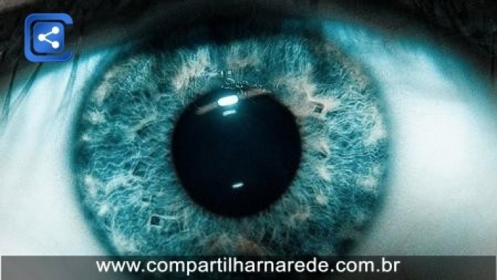 Curiosidades sobre o olho humano  