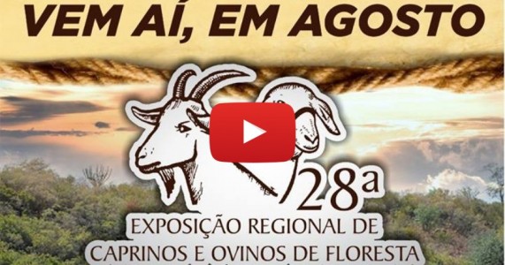 Floresta voltará a ter a tradicional Exposição de Caprinos e Ovinos; Solange Almeida será uma das atrações