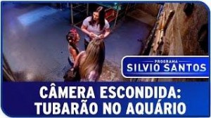 Camera Escondida do Silvio Santos: Tubarão no aquário