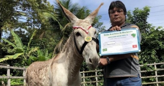 Jumento está entre os premiados como "prefeito nota 10 do Brasil"