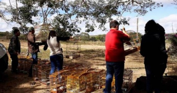 Animais raros e em extinção são encontrados no Sertão do Pajeú durante programa de fiscalização
