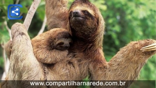 21 motivos para você ficar de boas