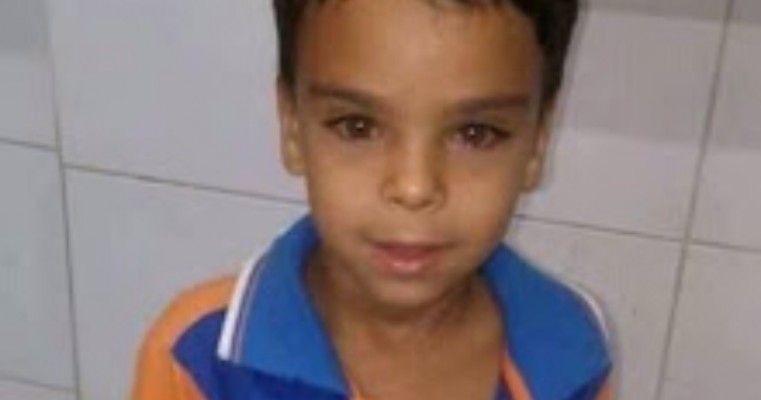 Criança de 7 anos morre ao cair de carroça de burro no Pajeú