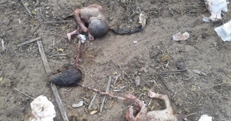 Jaguarari: Dois fetos foram encontrados no lixão do distrito de Gameleira