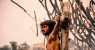 Começaram as gravações dos filmes publicitários da Paixão de Cristo de Nova Jerusalém