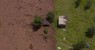 Cinco suspeitos de envolvimento em tragédia de Brumadinho são presos