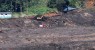 Número de mortos em Brumadinho sobe para 99, e 259 estão desaparecidos