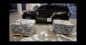 PF apreende 1 tonelada de cocaína em carga de mangas no Porto de Natal