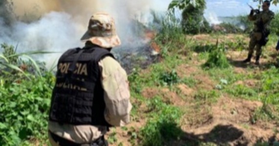 OPERAÇÃO FACHEIRO III – DELEGACIA DA POLÍCIA FEDERAL EM SALGUEIRO EVITA A PRODUÇÃO DE 120 TONELADAS DE MACONHA