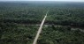 Criticada por Bolsonaro, Alemanha reage e divulga vídeo sobre suas florestas e parques