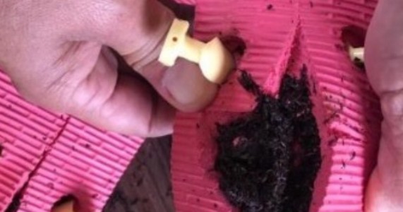 Mulher é presa ao tentar entrar na Funase com droga escondida dentro de chinelos em Arcoverde