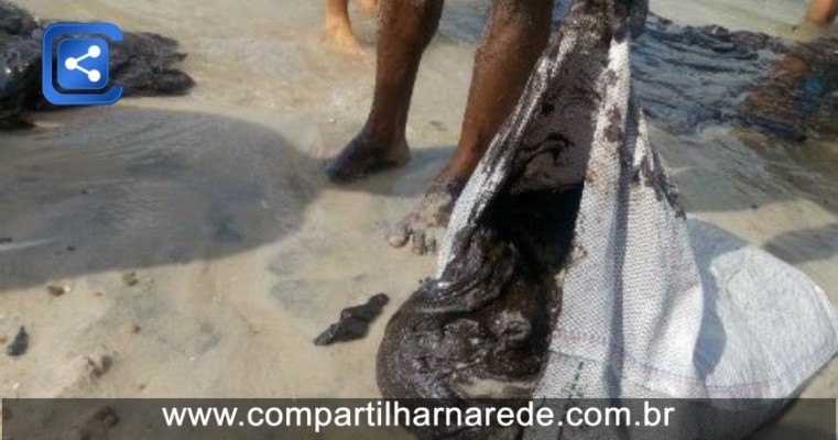 Mancha de óleo já chegou a praias de sete cidades de Pernambuco