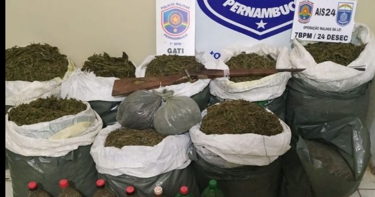 Santa Filomena-PE polícias do GT e malhas da lei perdem homem por tráfico, cultivo de drogas e pesse de arma de fogo