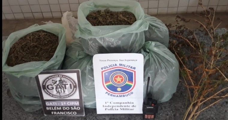 Floresta-PE Policiais prendem dois indivíduos com mais de 7 kg de maconha na Fazenda Poço da Forquilha
