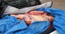 Homens são detidos com carne de cavalo e jumento para vender