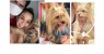 Salgueiro – Família recupera cachorrinha