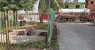 CPRH multa prefeitura de Ipojuca por poluição ambiental da praia de Porto de Galinhas