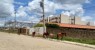 Flagrante de animais soltos na zona urbana de Salgueiro