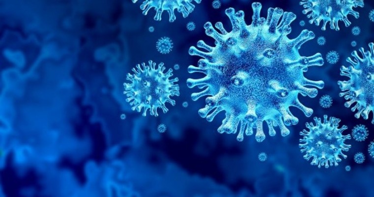 Brasil registra 1ª morte pela variante indiana do coronavírus; 5 Estados notificaram 11 casos