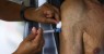 Recife libera terceira dose da vacina contra a Covid-19 para pessoas imunossuprimidas