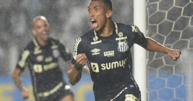 Santos derrota o Fluminense e deixa o Z4 do Brasileirão- Blog do Francisco Brito