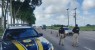 PRF registra redução de acidentes durante Operação Natal em Pernambuco