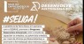 Sala do Empreendedor de Terra Nova-PE promove Programa Desenvolve Artesanato