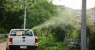 Carro fumacê combate infestação de mosquitos Aedes aegypti e muriçocas em Salgueiro
