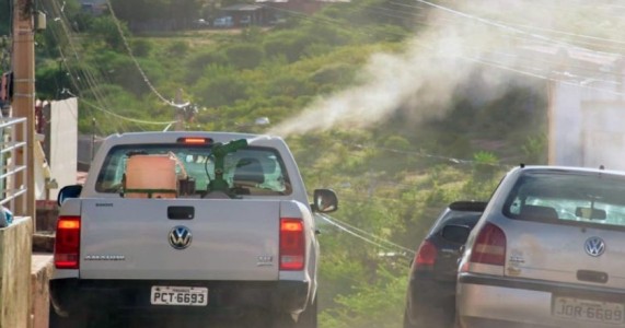 Casos de Covid-19 se estabilizam em Salgueiro; cidade agora enfrenta surto de doenças causadas pelo Aedes aegypti