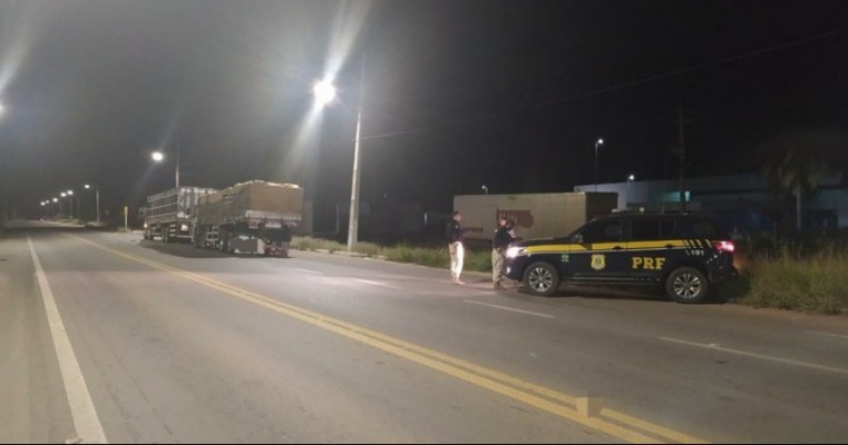 Motorista que transportava bois é flagrado com rebites em Petrolina no Sertão de PE 