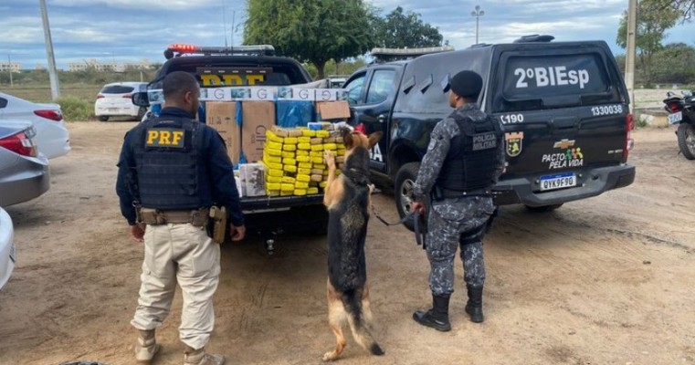 Operação polícia apreende 16 Kg de cocaína 83 Kg de maconha avaliados em 2,8 milhões em Petrolina no Sertão de PE