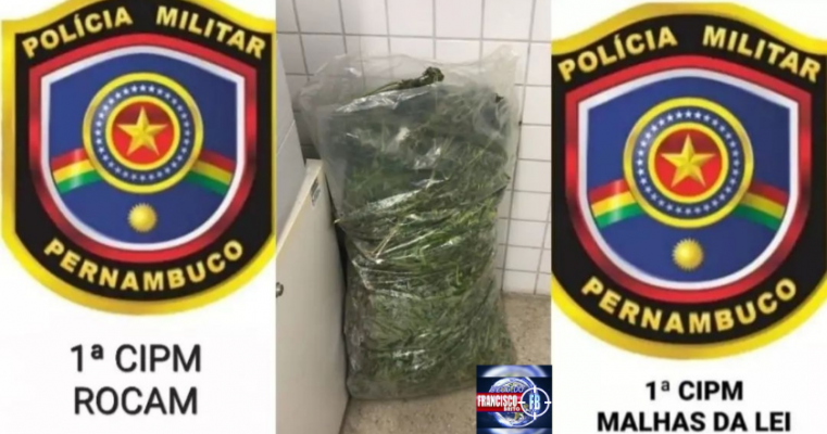 Políciais apreendem 8,5 kg de maconha e arma no sítio Caatinga de Porco em Floresta no Sertão de PE