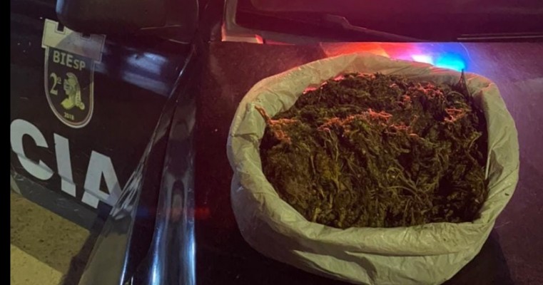 Políciais Militares prendem indivíduo após furto com mais de 1 Kg de maconha em Petrolina no Sertão de PE