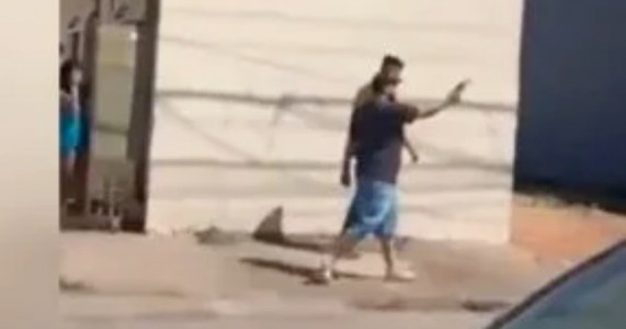 Vídeo: homem atira no meio da rua na direção de um carrinho de bebê