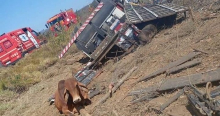 Vídeos: Grave acidente com caminhão boiadeiro na tarde desta terça (20), na PE-507 em Serrita no Sertão de PE 