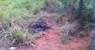 Corpo é encontrado em córrego de esgoto de Serra Talhada, PE