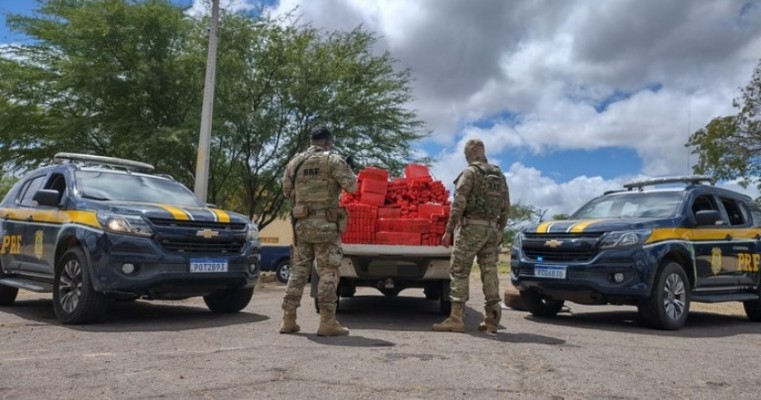 Mais de 25 toneladas de maconha foram retiradas de circulação pela PRF em Pernambuco