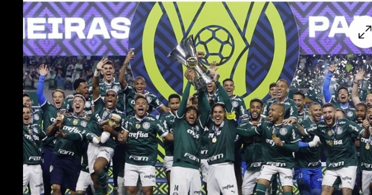 Palmeiras vence América-MG e recebe troféu de campeão Brasileiro