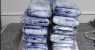 Polícia Federal prende traficante com 13,5Kg de maconha no aeroporto em Recife