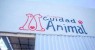 Programa Cuidado Animal, da Prefeitura de Salgueiro, atinge o marco de 70 castrações gratuitas