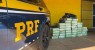 Polícia Rodoviária Federal apreende meia tonelada de maconha e prende indivíduo - Blog do Francisco Brito 