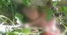 URGENTE: Bebê é encontrado morto dentro de um matagal em Lagoa Grande no Sertão de PE